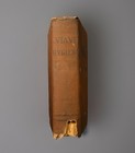 Viavi Hygiene 1899 Hc Law Medical Women Health Antique Anatomy Book