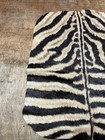 Small Vintage Authentic Zebra Skin   27    X 36   