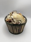 Large Mixed Seashell Lot W Basket Coastal Beach Decor Craft Shells Starfish
