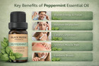 Peppermint Essential Oil- 100  Pure Premium Grade  Undiluted Natural Therapeutic