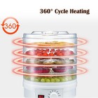 5-tray Food Dehydrator Machine Adjustable Portable Countertop Fruit Drying New