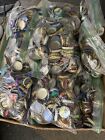 Beer Bottle Caps Lot Of 100 Some Rare Ones  No Dents  Bar Tops Arts   Crafts 