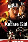 The Karate Kid  5-movie Collection  dvd Box Set 