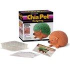 Chia Pet Hedgehog With Seed Pack  Decorative Pottery Hedgehog  Terra Cotta