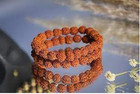 5 Mukhi Rudraksha Bracelet 100  Natural   101  Original Bracelet For  Unisex