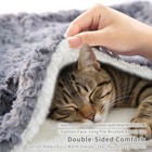 Cat Blanket Indoor Cats Ultra-soft Plush Machine Washable Cozy 21x18 Inch Grey