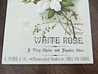 Stern s White Rose Perfumes frederick Sterns   Co Kalanthe  detroit trade Card