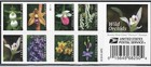 Forever Stamps Wild Orchid Book Of 20 Mnh  Scott 54546 