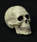1 6 Scale Custom Realistic Skull For 12 Inch Action Figure - New