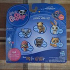 Hasbro Littlest Pet Shop Koala Figure  1604 W  Accessories 2010 Ages 4 