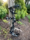 Mathews Halon 7 Rh Compound Bow 50-60 Lbs 29  32 Arrows   Soft Bow Case Ex Cond 