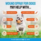 Silver Wound Spray For Dogs   Puppies     Skin Care For Hot Spots  Itch   Rashes