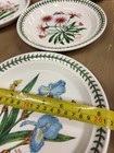 Portmeirion Botanic Garden Set Of 6 Salad  Plates-----sd057-----ship From Usa