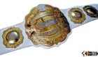 Iwgp Intercontinental Championship Belt Replica 4mm Zinc Adult Size Dual Layered