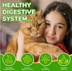 Cat Constipation Relief     60ml With 6 Probiotics   Gentle Digestive Support