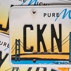 Michigan Mackinac Bridge License Plate     free         1 Random Sunset Graphic Tag