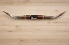 Mounted Steer Horns About 6 Feet Wide Longhorn Polished Mount Bull Cow B106