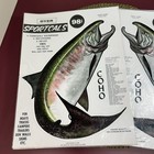 Set Of 2 Vintage Dyer Sportcals Vinyl Waterproof Decal Sticker Coho Salmon