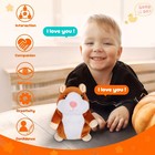 Toys Talking Hamster Repeats What You Say  Interactive Animal Plush Toys  Gif   