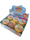      Rainbow Mystery Bun Squishy Blind Box - 12 Pack Display