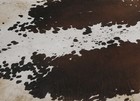 New Cowhide Rugs Area Cow Skin Leather 20 24 Sq feet  55 x53   Cow Hide U-1161
