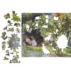 Wooden Jigsaw Puzzle For Adults By Foxsmartbox - 215 Pieces - Roses