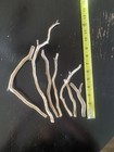 7 New Hand Sanded Manzanita Branches  Birdcage Or Aquarium Sizes Vary From 4-12   
