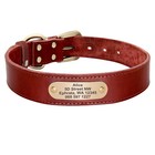 Real Leather Personalized Dog Collar With Custom Brass Tag For Medium Large Dogs