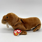 Ty Beanie Baby -   paul   The Walrus 1999 - Mint Condition With Tags