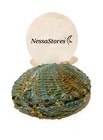 Pink Abalone Sea Shell One Side Polished Beach Craft 4  - 5   1 Pc   jc-011