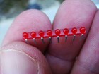 Lot 60 Pieces Hp X8 Red Led Array -- Qlmp-6392  1s8  -- New And Unused