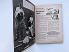 Focus Magazine Marilyn Monroe Sexy Starlet Cover June 1954 Pocket Magazine Rare