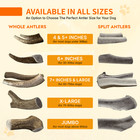 Yak Cheese Chew   Elk Antler For Small Dogs - Long Lasting   100  Natural Treats