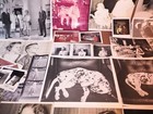 50 Pc  Vtg Antique Slice Of Life Photograph Sheets Home-developed Prints Film 2