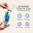 Blueberry White Tea - Big Can  22 Fl Oz  pack Of 12 
