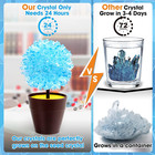 Crystal Growing Kit For Kids  Stem Science Experiments  Grow Crystals In 24 Hour