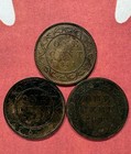 3 Different Canada Large Cents Lot A6  All 1880 s  Up To Extra Fine W  Varieties