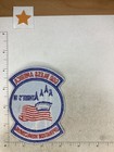 Usaf Operation Homecoming Squadron Patch