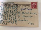 Sunny Florida Trail Through Cypress Gardens  Vintage Postcard  Vivid Color Lot 4