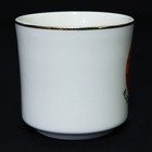 Boy Scouts Vtg Bsa Mug Cup Mt  Baker Area Council  Black Mountain Camp Rare