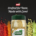Complete Seasoning  28oz - All-purpose Spice Blend Of Garlic  Onion  Salt  Peppe
