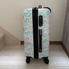 Disney Duffy Shelliemay Carry Case Hard Case Hong Kong Disneyland From Japan
