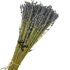 Lavender Dried Whole Bundles 1-12 Bundles - Lavandula Officinalis