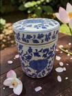 Blue White Chinese Porcelain Ginger Jar Tea Caddy Floral Lidded Canister 6 75 