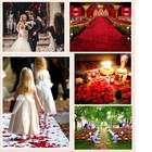 Artificial Silk Rose Petal 1000 Pack Burgundy Wedding Party Bridal Decoration
