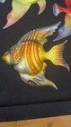 Metal Wall Sculpture Fish Wall Sculpture  Art 3 Red Fish