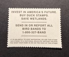 Wtdstamps -  rw73 2006 - Us Federal Duck Stamp - Mint Og Nh