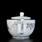 Chinese Pastel Porcelain Hand Painted Flower And Bird Pattern Teapot  3102