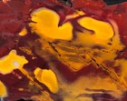 Mookaite Jasper Slab 5 5 x2 6  Australia - Agate Jasper Rough Slab Cabbing M01