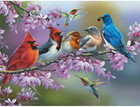 Bits And Pieces - 500 Piece Jigsaw Puzzle For Adults 18  X 24  - Birds On A Flow